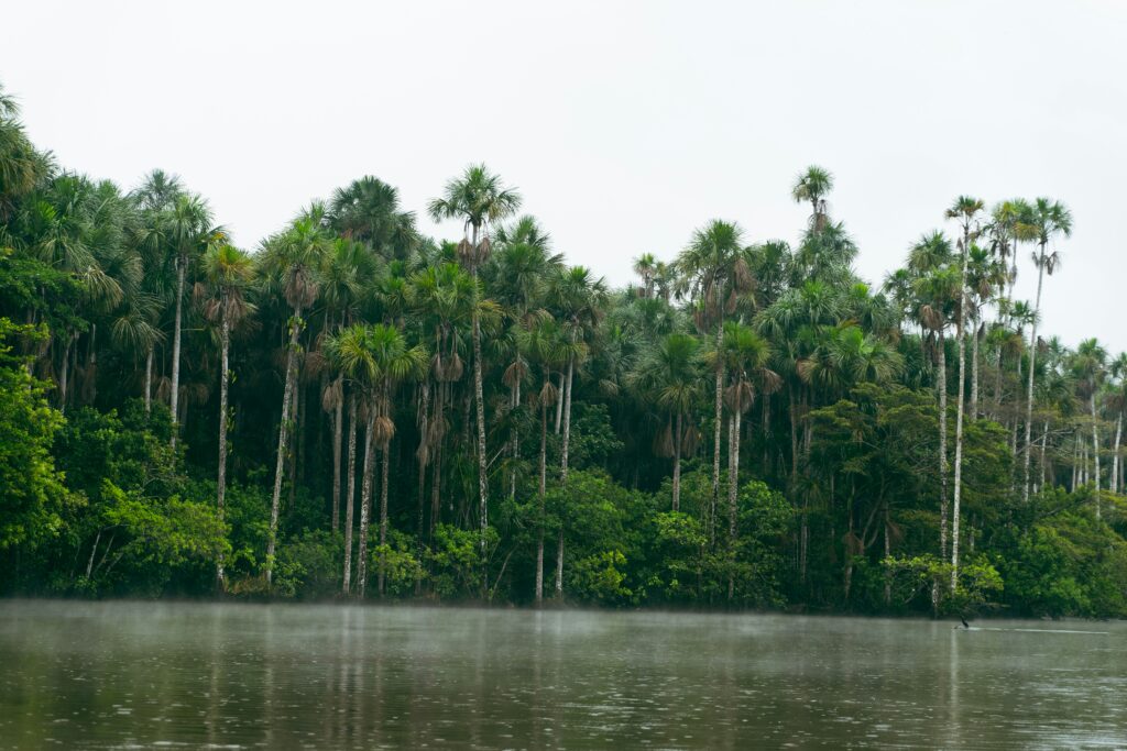 peru amazon river